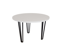 Coffee table ZAC R600*16 White Alba Nymphea (black rod legs 3 pcs)
